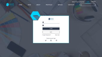 蜂巢網(wǎng)絡(luò)設(shè)計公司——構(gòu)建創(chuàng)意與科技并存的數(shù)字體驗